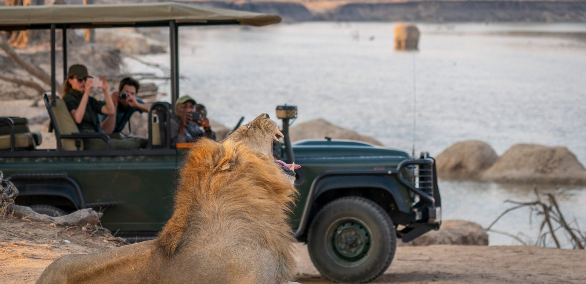 safari from livingstone zambia